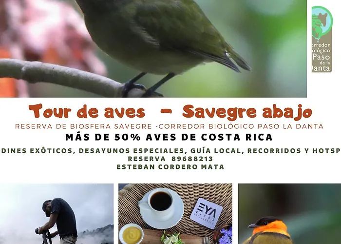 Eya Ecolodge