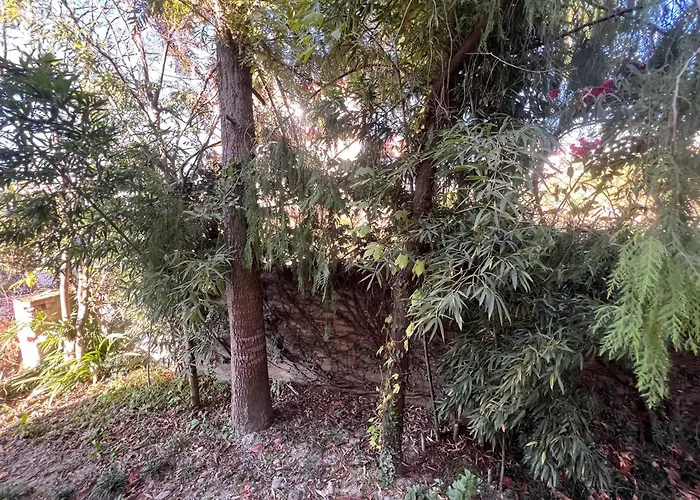 Avocado Accommodations - Tiny Cottages