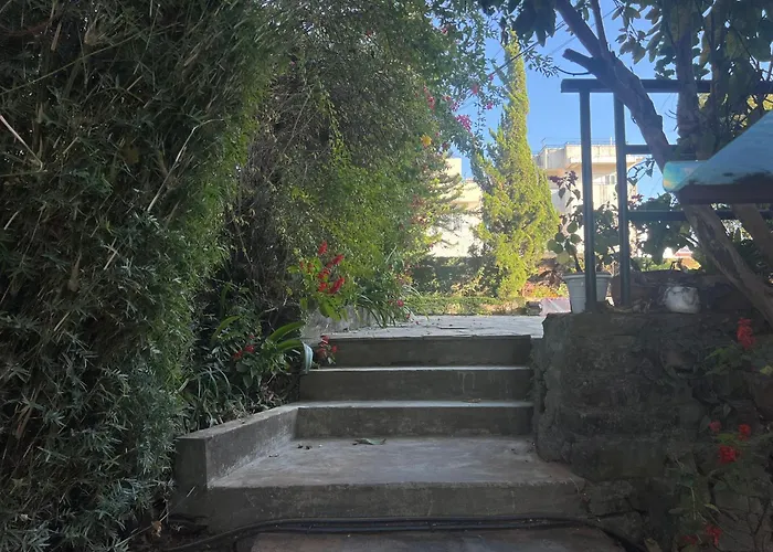 Avocado Accommodations - Tiny Cottages