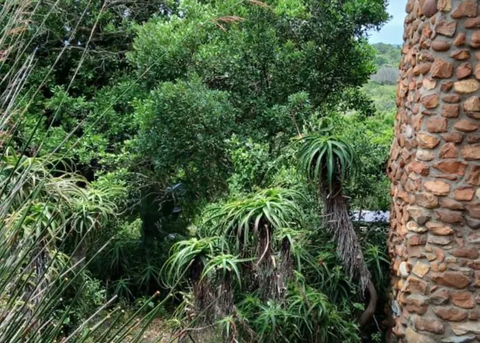 Oysterbay Nature Retreat