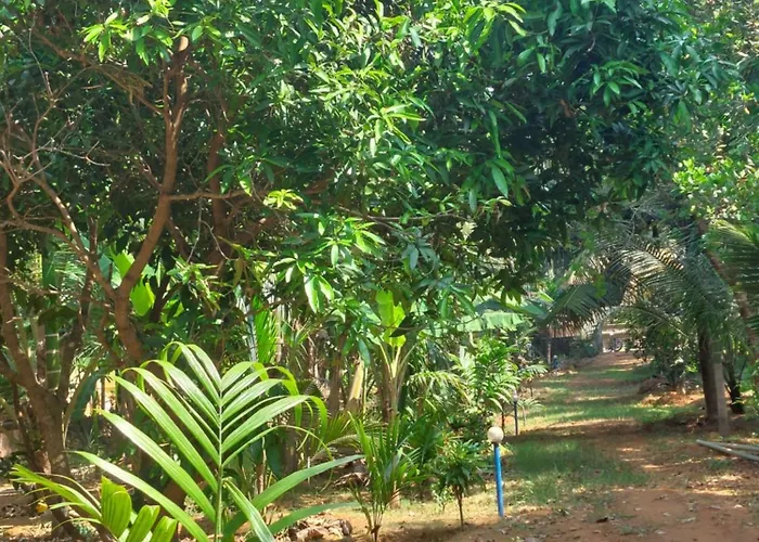Vill Brahmi Stay Gokarna