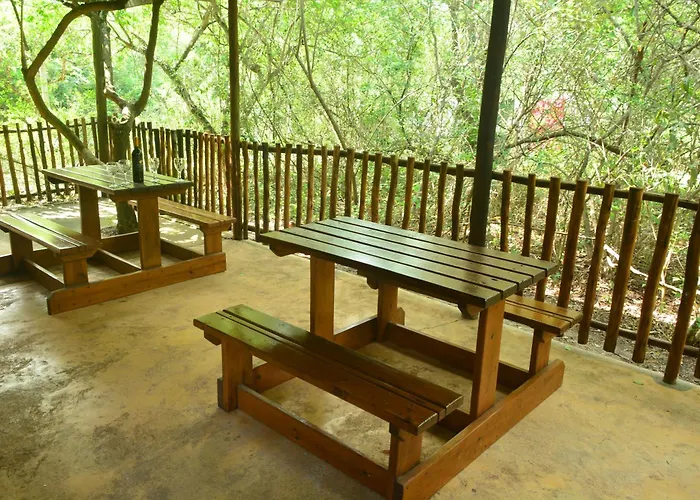 Toad Tree Cabins