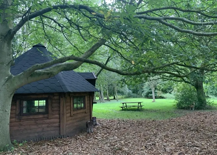 Starry Meadow & Rescued Animal Experiences