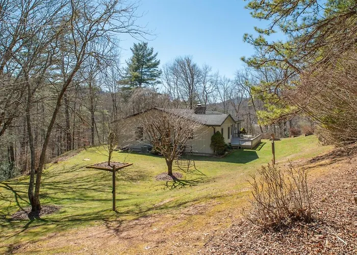 Sunshine Daydream - Sunshine Daydream In Pisgah Forest Area