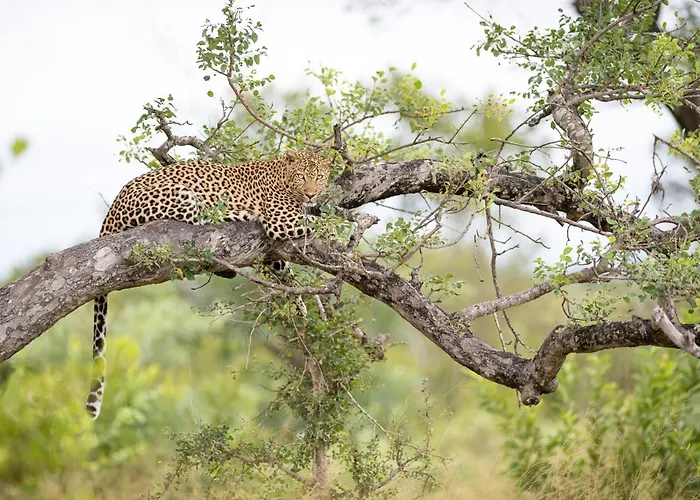 Serondella Safari Lodge
