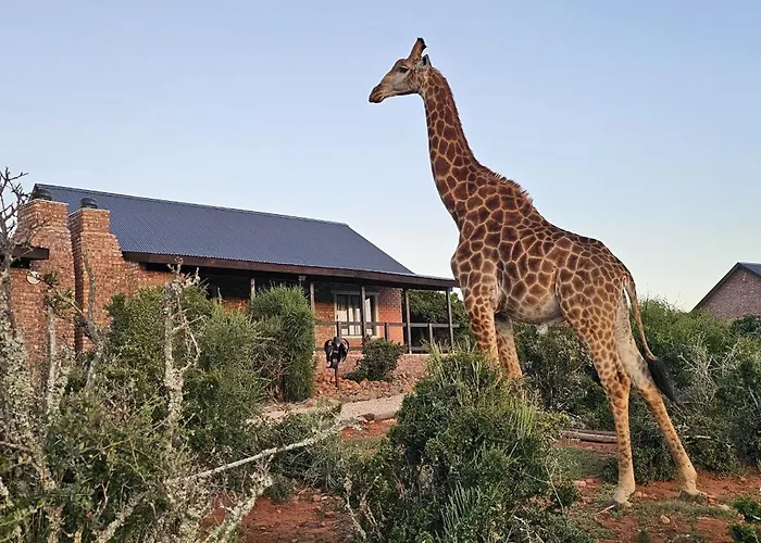 Valley Bushveld Country Lodge