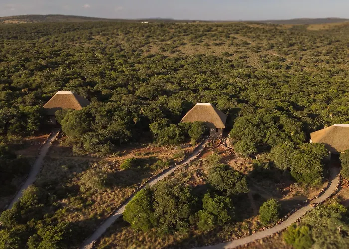 Induli Lodge - Amakhala Game Reserve