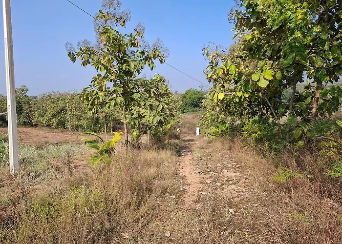 25 Acres Of Picturesque Farm