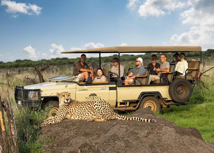 Tuningi Safari Lodge