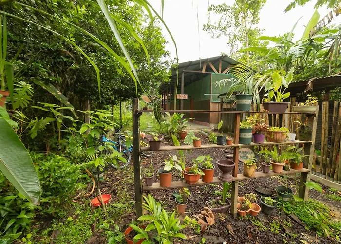 Green House Tambopata