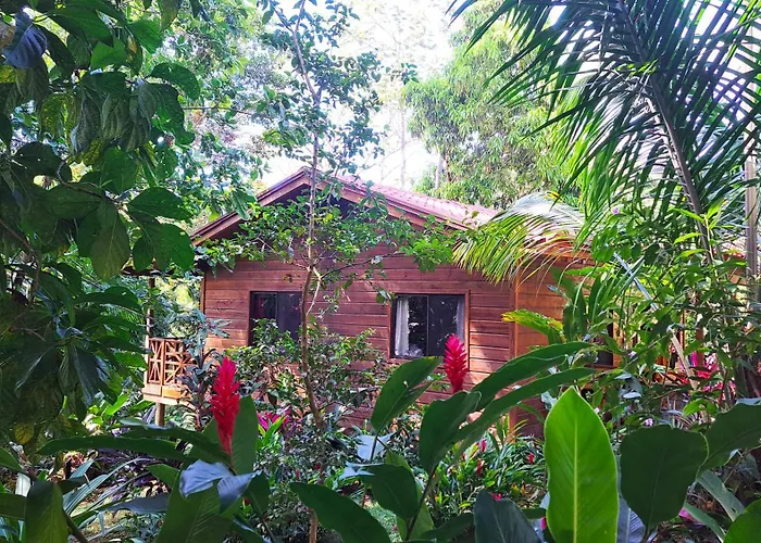 Cabinas Costa Tropicana