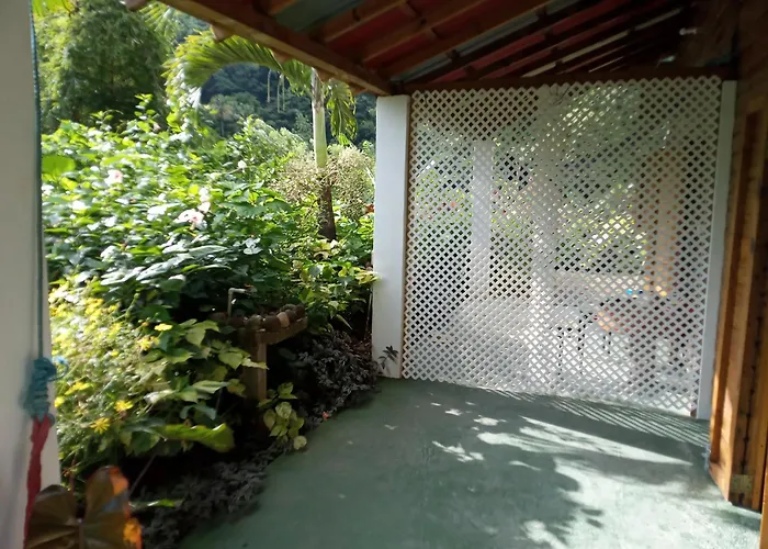 Berkey'S Jungle Paradise Resort