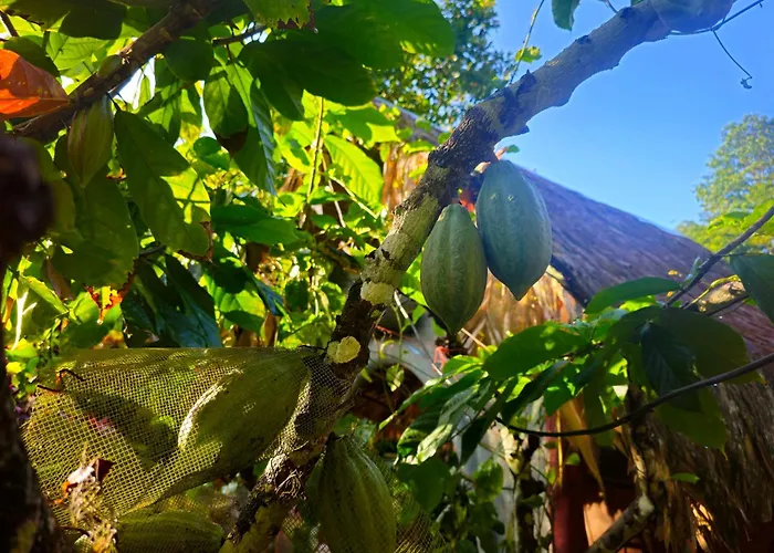 Wildlife Lodge Cahuita