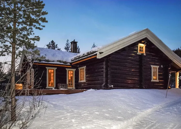 Awesome Home In Hemsedal With Sauna