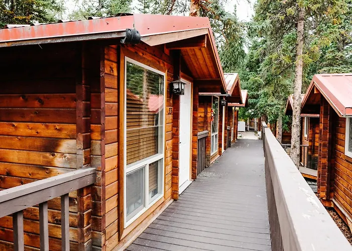 Denali Grizzly Bear Resort