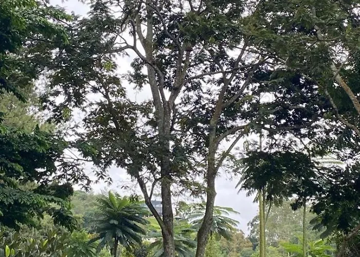 Asaan Homestay