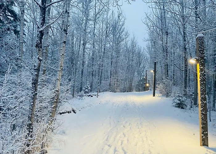 Lutsen Mtn Ski In Ski Out Pool Hot Tub Fire Pit