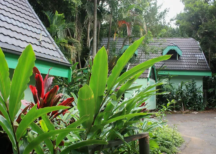 Gallery Walk Chalets - Tamborine Mountain