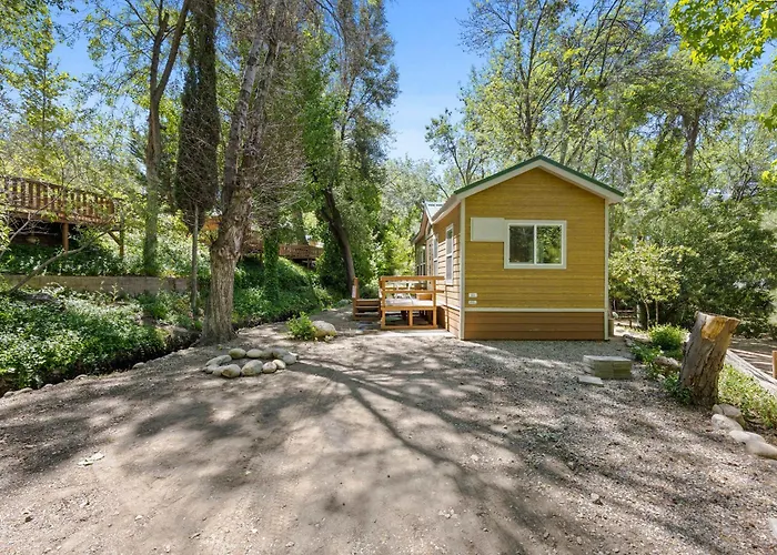 Brand New Cabins