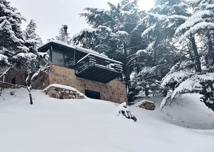 Cedar Scent Guesthouse