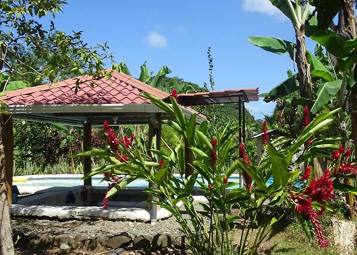 Cabinas Los Tucanes