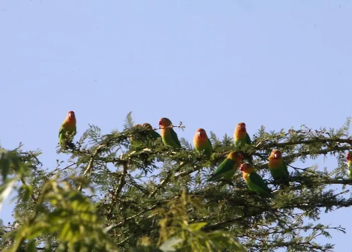 Gongali House - Karatu Rewilded