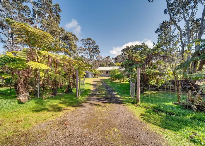 Rainforest Retreat W/ Hot Tub: Mins To Nat'L Park!