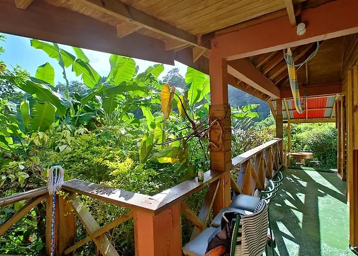 Berkey'S Jungle Paradise