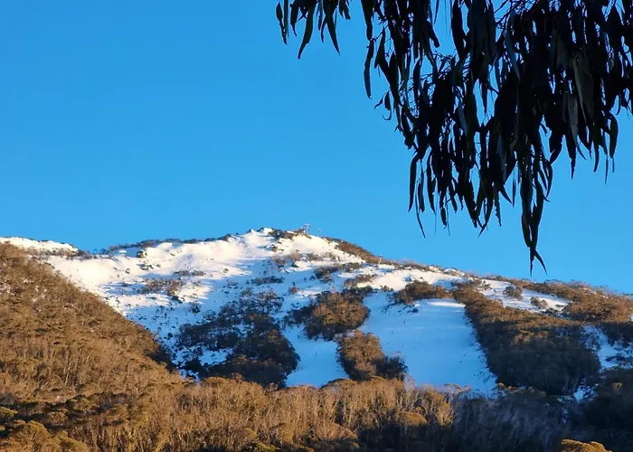 Chill-Out - Thredbo