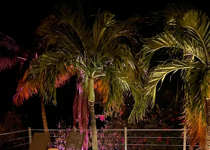 Villa La Flamboyante 4 Etoiles, 4 Clevacances