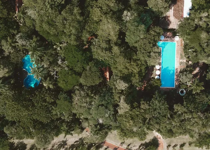 Overo Lodge & Selva