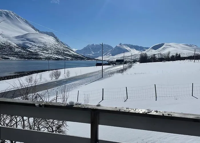 Koselig Hus Naer Sjo Og Fjell