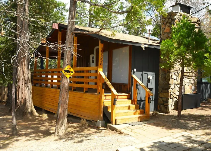 Bear Paw- Lake Area
