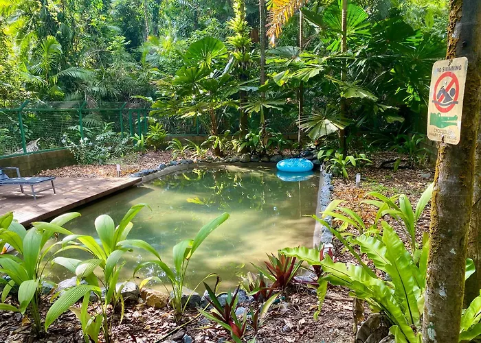 Daintree Siesta