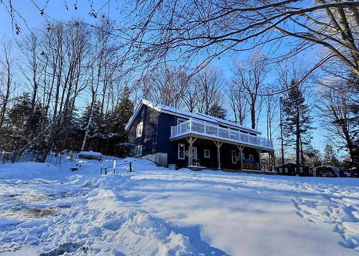 Bearright- Pool, Hot Tub, Sauna