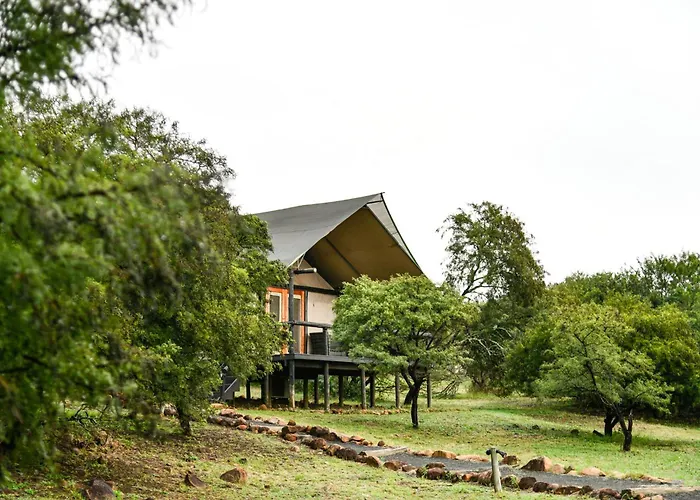 The Springbok Lodge