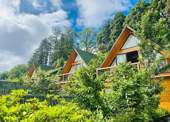 Sapa Pine Hill Eco Lodge