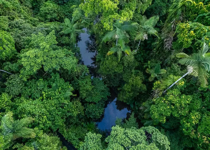 Heritage Lodge - In The Daintree