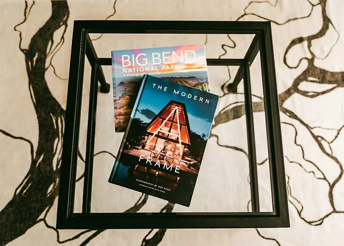 Stardust Big Bend Luxury A-Frame#5 Great Views