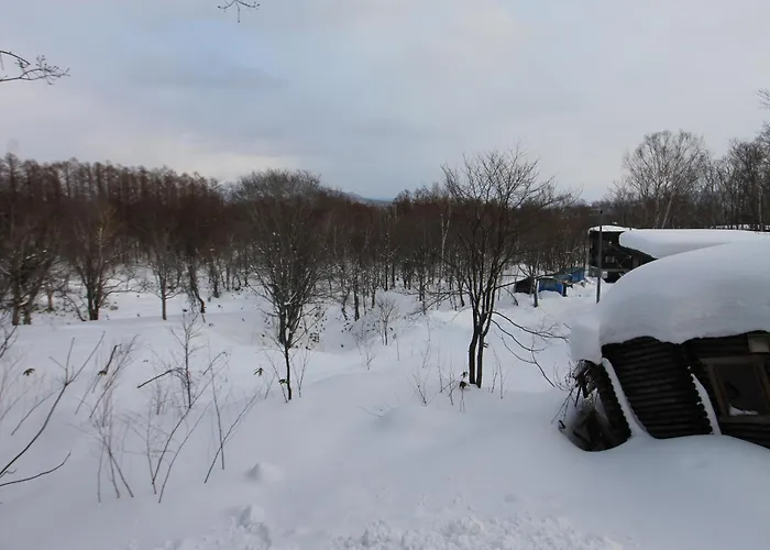 Beautiful Forest Hideaway Niseko