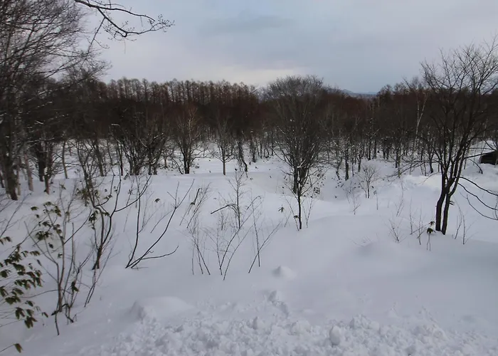 Beautiful Forest Hideaway Niseko