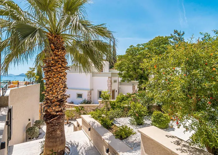 Villa Onya