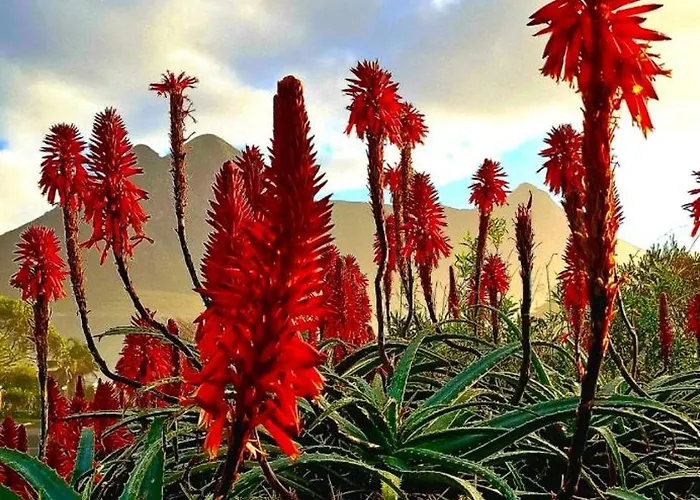 La Mer Seafront Selfcatering Accommodation Kleinmond