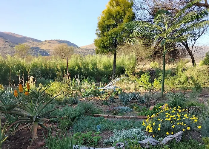 The Seed Pod Guesthouse