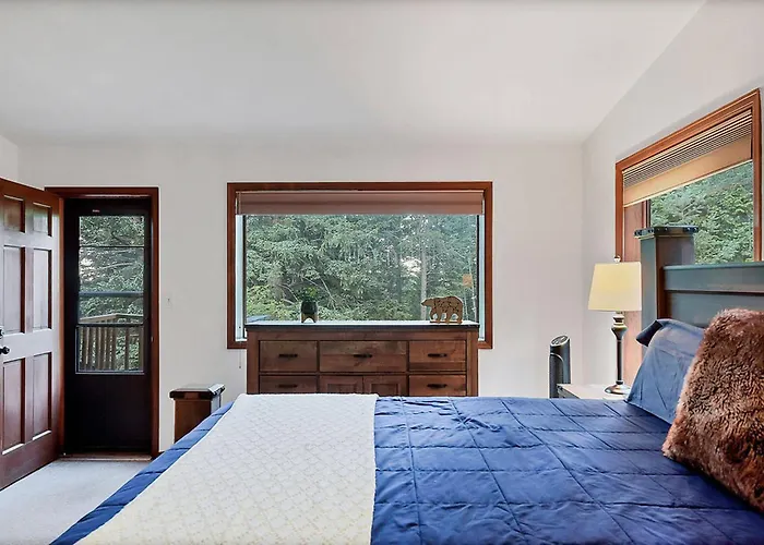 Evergreen Forest Retreat