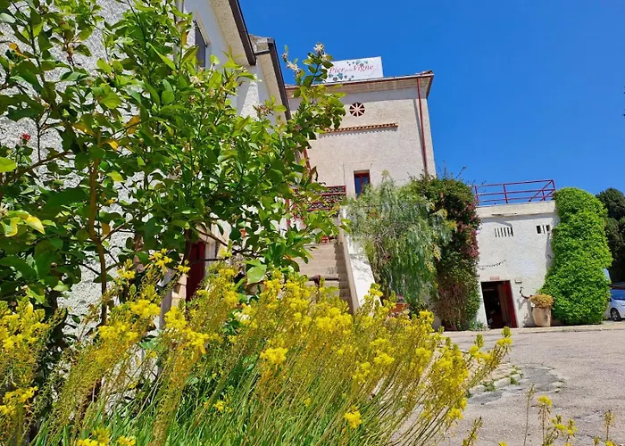 Pier Delle Vigne B&B Pineto