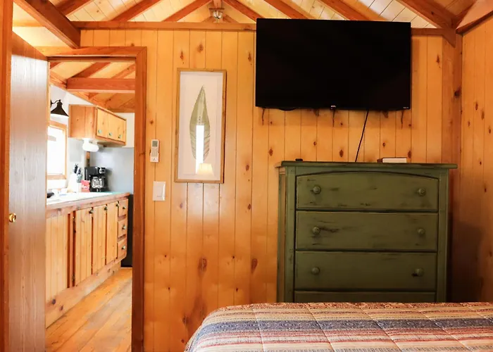 Lakeview Cedar Cabin - The Birds Nest - 1