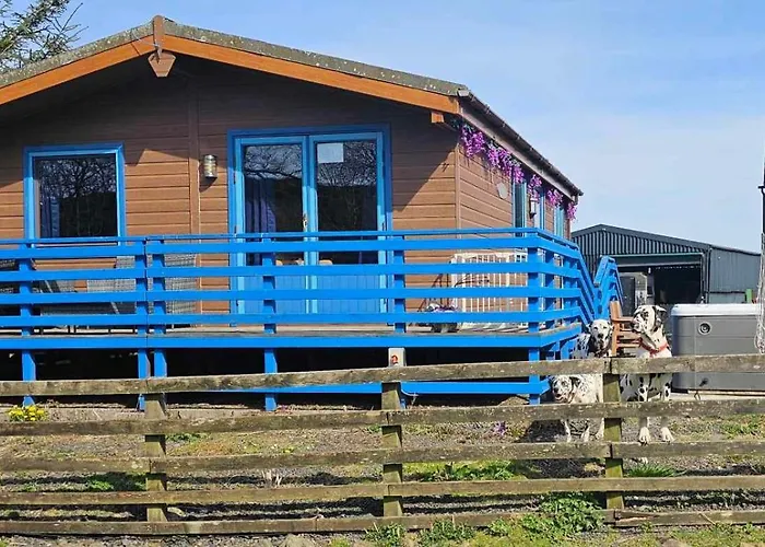 Glen Bay - 2 Bed Lodge On Friendly Farm Stay With Private Hot Tub