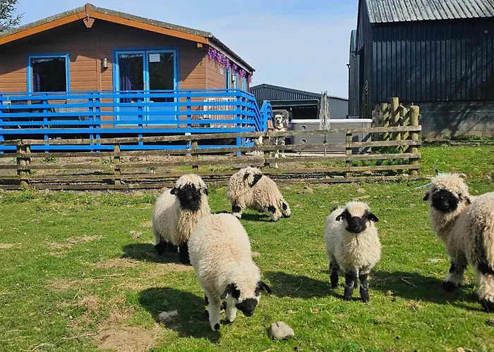 Glen Bay - 2 Bed Lodge On Friendly Farm Stay With Private Hot Tub