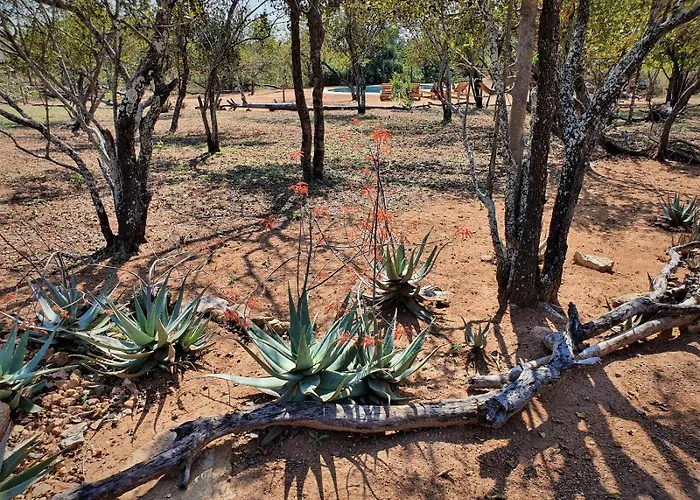 Masorini Bush Lodge & Safari Tents